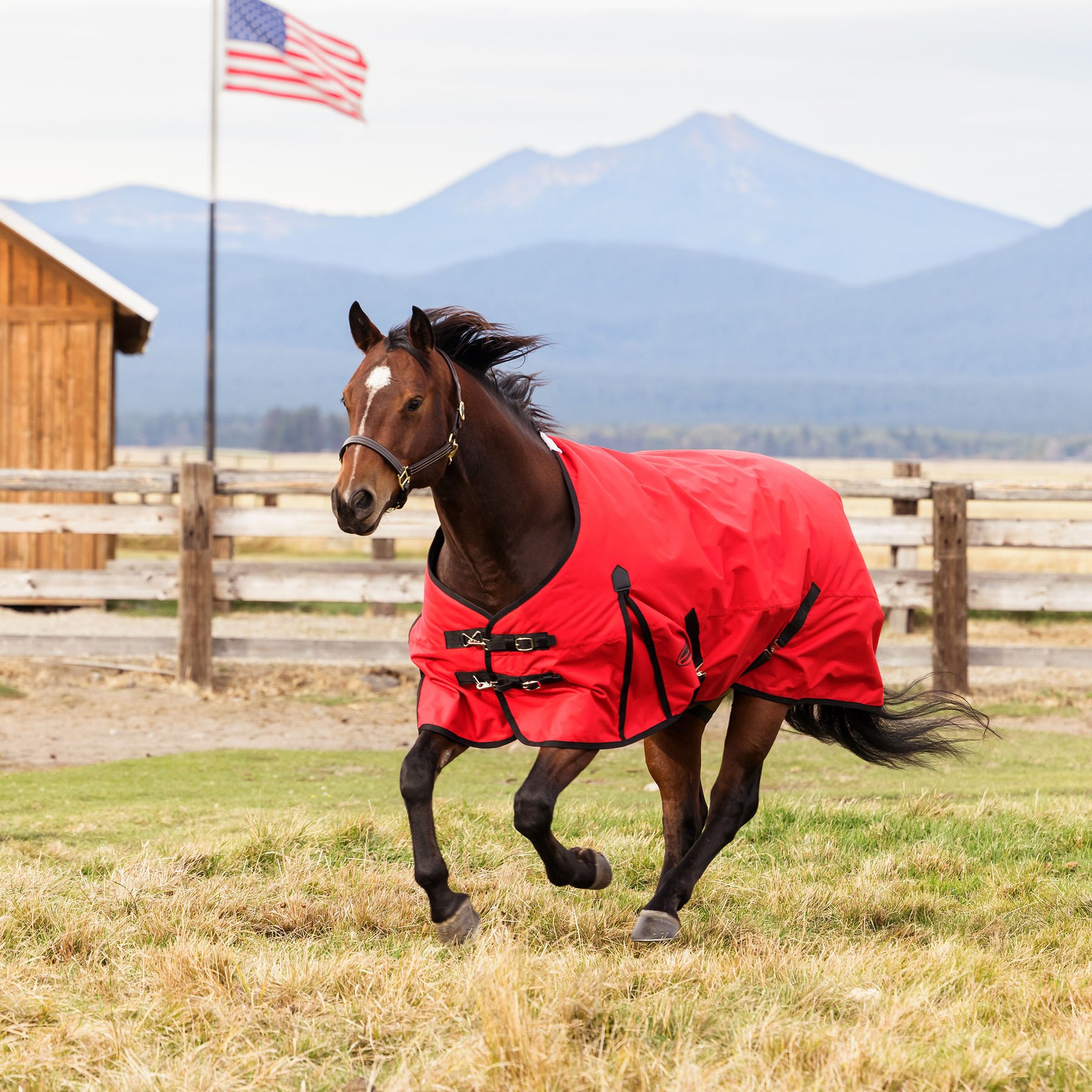 WeatherBeeta ComFiTec Original Standard Neck Horse Turnout, Red/Black, 69-in