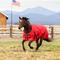 Show in main carousel: WeatherBeeta ComFiTec Original Standard Neck Horse Turnout, Red/Black, 75-in slide 1 of 9