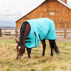 WeatherBeeta ComFiTec Original Standard Neck Lite Horse Turnout, Turquoise/Black, 72-in