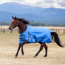 WeatherBeeta ComFiTec Original Standard Neck Lite Horse Turnout, Royal Blue/Black, 75-in