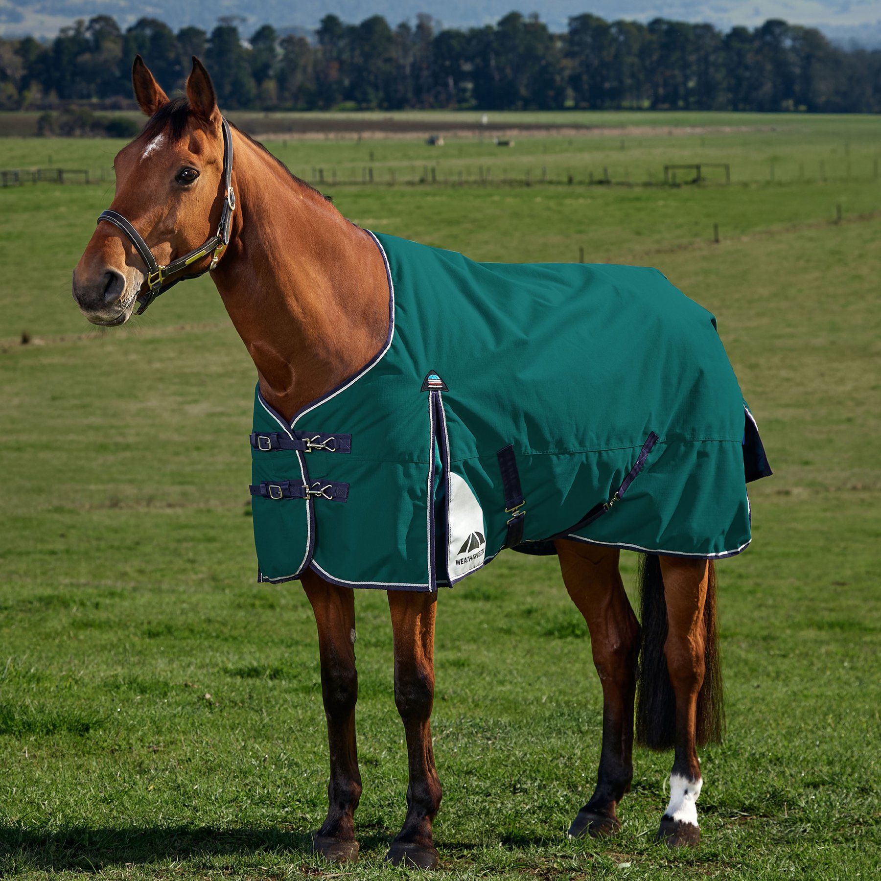 WeatherBeeta ComFiTec Plus Dynamic Standard Neck 0G Horse Turnout, Forest Green/Navy, 84-in