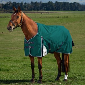 WeatherBeeta ComFiTec Plus Dynamic Standard Neck 0G Horse Turnout, Forest Green/Navy, 84-in