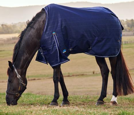 Show full view: WeatherBeeta ComFiTec Prelim Standard Neck 220G Horse Turnout, Navy Embossed Plaid, 69-in slide 2 of 9
