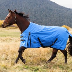 WeatherBeeta ComFiTec Original Standard Neck Horse Turnout, Royal Blue/Black, 75-in slide 2 of 8