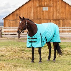 WeatherBeeta ComFiTec Original Standard Neck Lite Horse Turnout, Turquoise/Black, 75-in slide 2 of 7