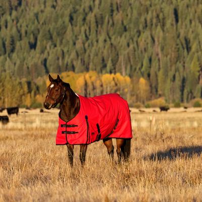 Show full view: WeatherBeeta ComFiTec Original Standard Neck Lite Horse Turnout, Red/Black, 75-in slide 2 of 8