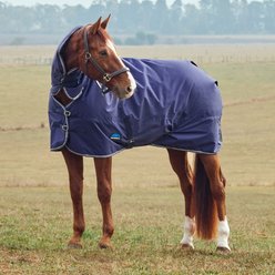 WeatherBeeta ComFiTec Tyro Combo Neck 50G Horse Turnout, Navy/Charcoal, 75-in slide 1 of 8