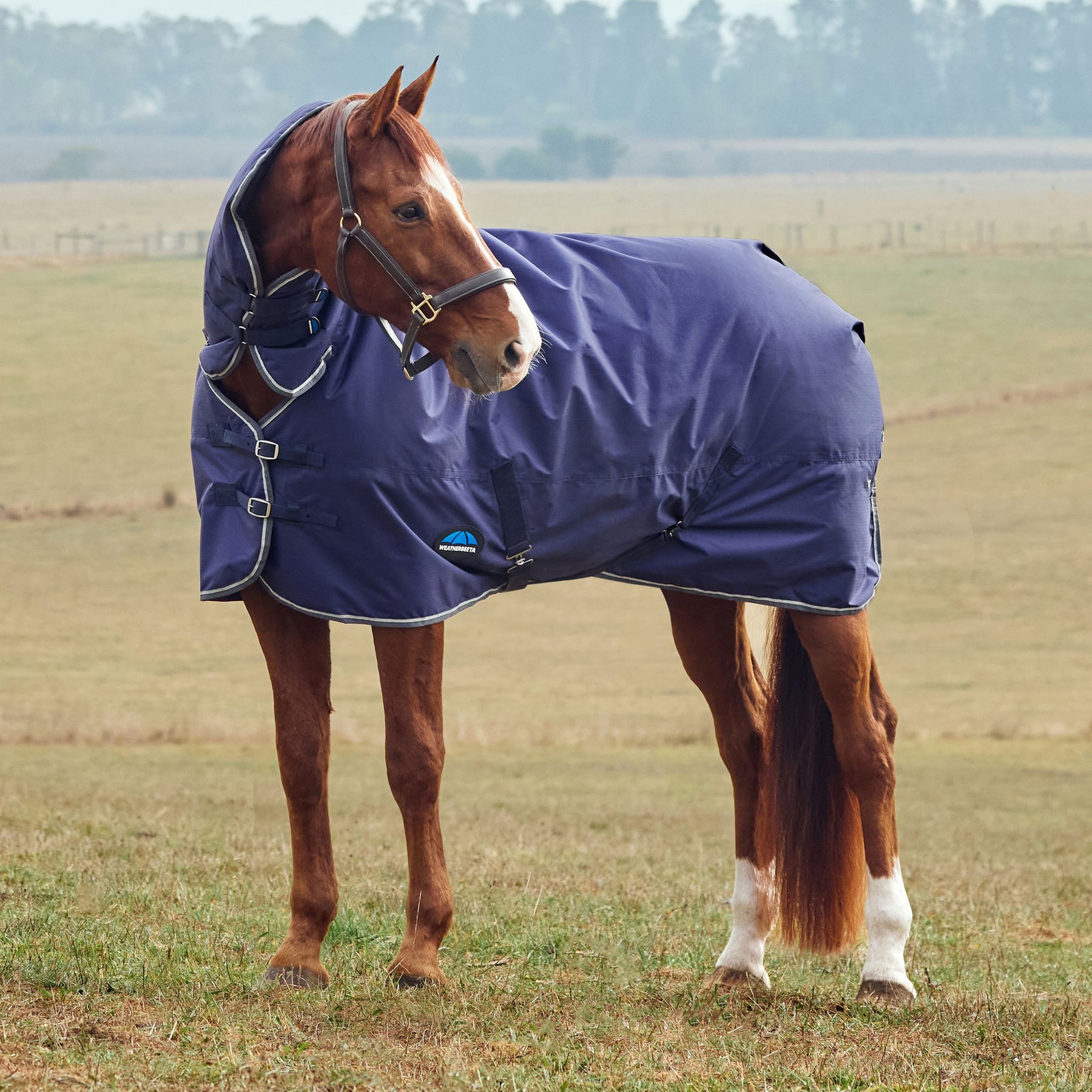 WeatherBeeta ComFiTec Tyro Combo Neck 50G Horse Turnout, Navy/Charcoal, 66-in