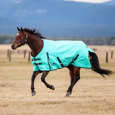 Show full view: WeatherBeeta ComFiTec Original Standard Neck Horse Turnout, Turquoise/Black, 84-in slide 2 of 9
