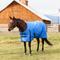 Show in main carousel: WeatherBeeta ComFiTec Original Standard Neck Lite Horse Turnout, Royal Blue/Black, 78-in slide 2 of 7