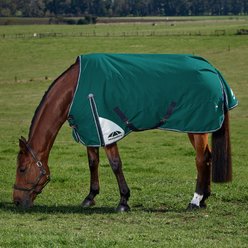 WeatherBeeta ComFiTec Plus Dynamic Standard Neck 0G Horse Turnout, Forest Green/Navy, 75-in slide 2 of 8