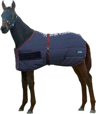 Show full view: WeatherBeeta 420D Foal Standard Neck Horse Turnout, Navy/Burgundy, 42-in to 57-in slide 2 of 2