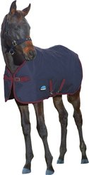 WeatherBeeta 1200D Foal Standard Neck 220G Horse Turnout, Navy/Burgundy, 57-in slide 2 of 2