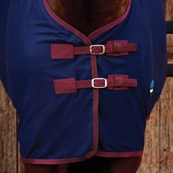 WeatherBeeta Cotton Standard Neck Horse Sheet, Navy/Burgundy, 81-in slide 2 of 6