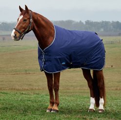 WeatherBeeta ComFiTec Tyro Standard Neck 50G Horse Turnout, Navy/Charcoal, 75-in