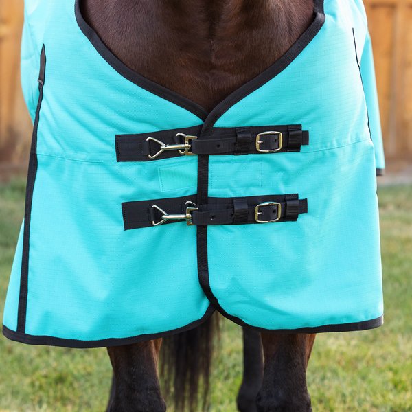 Show full view: WeatherBeeta ComFiTec Original Standard Neck Horse Turnout, Turquoise/Black, 84-in slide 3 of 8
