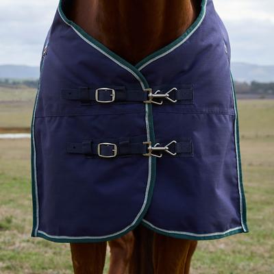 Show full view: WeatherBeeta ComFiTec Plus Dynamic Standard Neck 100G Horse Turnout, Navy/Forest Green, 69-in slide 3 of 9