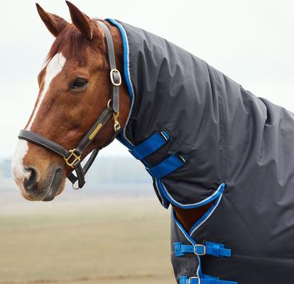 Show full view: WeatherBeeta ComFiTec Tyro Combo Neck 220G Horse Turnout, Black/Cobalt, 66-in slide 3 of 8