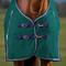 Show in main carousel: WeatherBeeta ComFiTec Plus Dynamic Standard Neck 0G Horse Turnout, Forest Green/Navy, 84-in slide 3 of 8