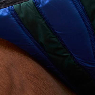 Show full view: WeatherBeeta ComFiTec Plus Dynamic Standard Neck 0G Horse Turnout, Forest Green/Navy, 84-in slide 4 of 8