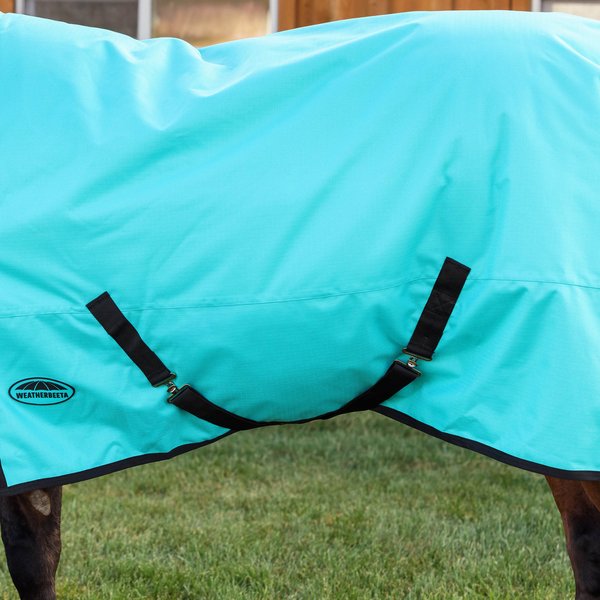Show full view: WeatherBeeta ComFiTec Original Standard Neck Horse Turnout, Turquoise/Black, 84-in slide 5 of 8