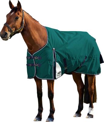 Show full view: WeatherBeeta ComFiTec Plus Dynamic Standard Neck 0G Horse Turnout, Forest Green/Navy, 84-in slide 8 of 8