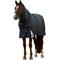 Show in main carousel: WeatherBeeta ComFiTec Ultra Detach-A-Neck 220G Horse Turnout, Charcoal, 75-in slide 9 of 10