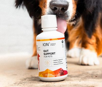 Show full view: ION* Intelligence of Nature Gut Support Digestive Aid Supplement for Dogs & Cats, 16-fl oz bottle slide 4 of 7