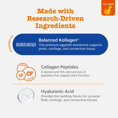 Show full view: Zesty Paws Multi-Collagen Bites Chicken Flavored Soft Chews Multivitamin for Dogs, 90 count slide 5 of 12