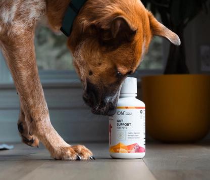 Show full view: ION* Intelligence of Nature Gut Support Digestive Aid Supplement for Dogs & Cats, 8-fl oz bottle slide 4 of 7