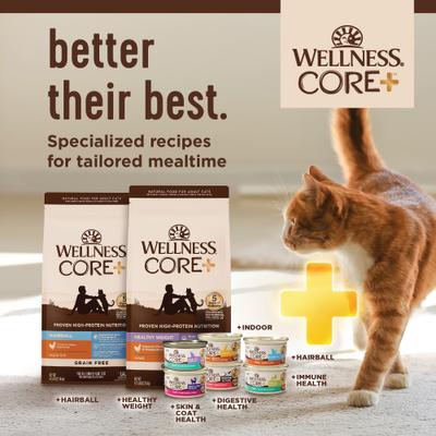 Show full view: Wellness CORE+ Indoor Grain-Free Chicken & Chicken Liver Pate Wet Cat Food, 3-oz can, case of 12 slide 8 of 11