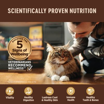 Show full view: Wellness CORE+ Indoor Grain-Free Chicken & Chicken Liver Pate Wet Cat Food, 3-oz can, case of 12 slide 5 of 11