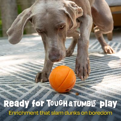 Show full view: Brightkins Basketball Treat Dispensing Dog Toy, Multi Color, 8.19 x 6.3 x 4.13-in slide 2 of 9