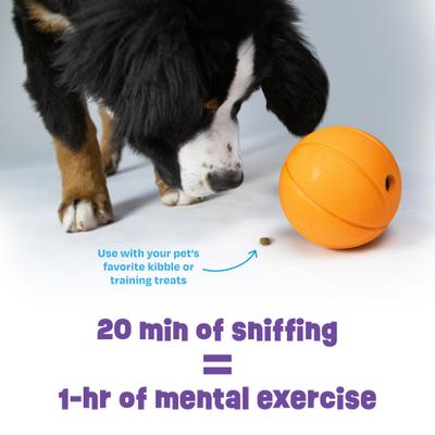 Show full view: Brightkins Basketball Treat Dispensing Dog Toy, Multi Color, 8.19 x 6.3 x 4.13-in slide 6 of 9