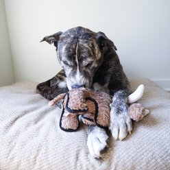 SteelDog USA Ruffian Dino Wolly Mammoth Plush Dog Toy slide 2 of 5