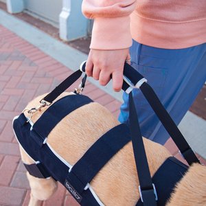 Balto Body Lift Dog Body Harness with Handles, X-Small