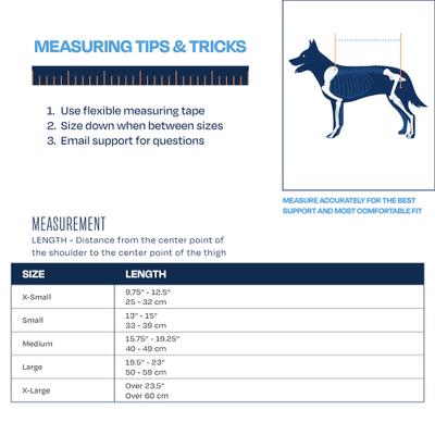 Show full view: Balto Body Lift Dog Body Harness with Handles, Large slide 4 of 9