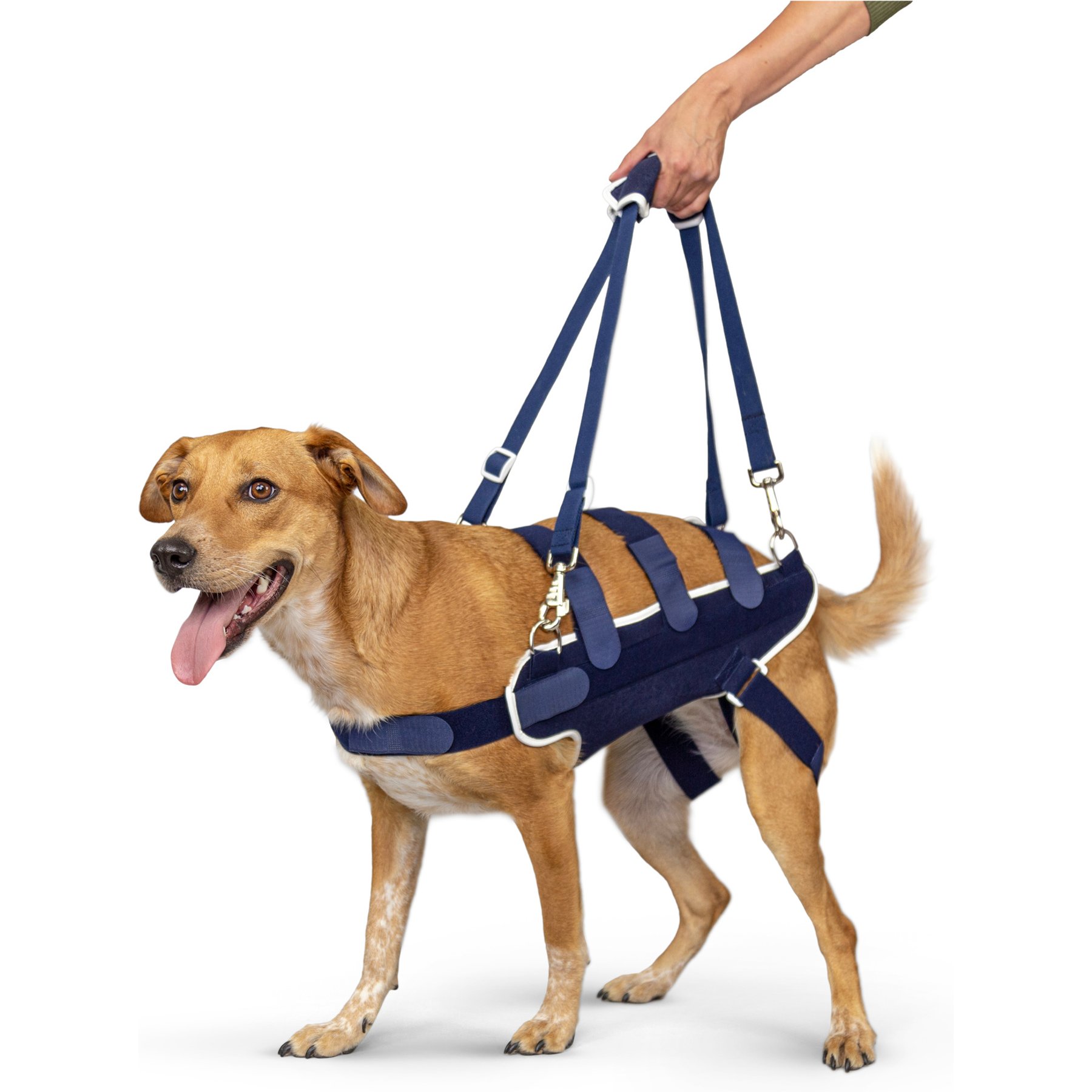 Balto Body Lift Dog Body Harness with Handles, X-Large