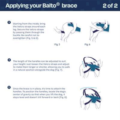 Show full view: Balto Body Lift Dog Body Harness with Handles, Large slide 6 of 9