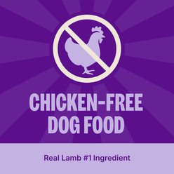 Wellness Simple Limited Ingredient Diet Lamb & Oatmeal Formula Dry Dog Food, 26-lb bag slide 2 of 9