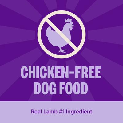 Show full view: Wellness CORE Grain-Free Lamb Recipe Dry Dog Food, 22-lb bag slide 4 of 13