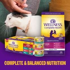 Wellness Complete Health Grain-Free Pate Sampler Pack Wet Cat Food, 3-oz can, case of 6 slide 2 of 7