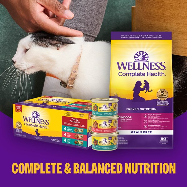 Wellness Complete Health Poultry Lovers Pate Variety Pack Grain-Free Natural Canned Cat Food