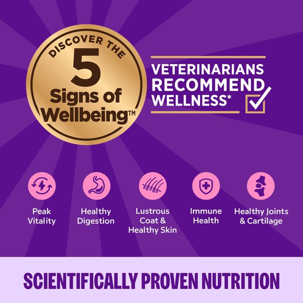 Wellness Complete Health Poultry Lovers Pate Variety Pack Grain-Free Natural Canned Cat Food