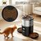 Show in main carousel: Casfuy Stainless Steel Automatic Dog & Cat Feeder with Two Bowls, 5-L slide 6 of 6