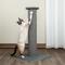 Show in main carousel: Kitty City Sisal Mat Cat Scratcher with Perch, Gray slide 5 of 11