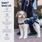 Show in main carousel: Balto Body Lift Dog Body Harness with Handles, Large slide 7 of 9