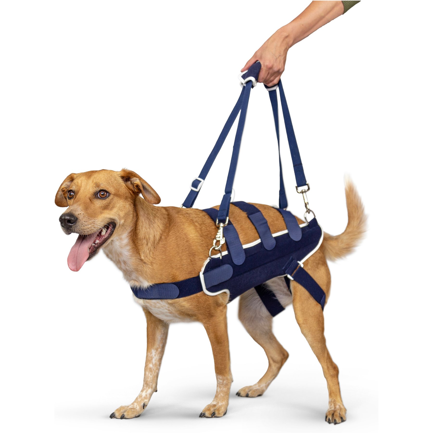 Balto Body Lift Dog Body Harness with Handles, Large