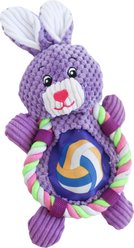 SteelDog USA Ropers Flat Sport Bunny Crinkle Plush Dog Toy