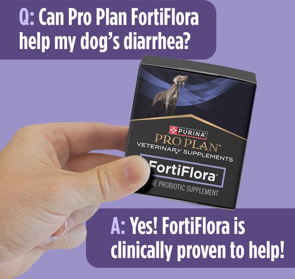 Purina Pro Plan Veterinary Diets FortiFlora Powder Probiotic Digestive Supplement for Dogs